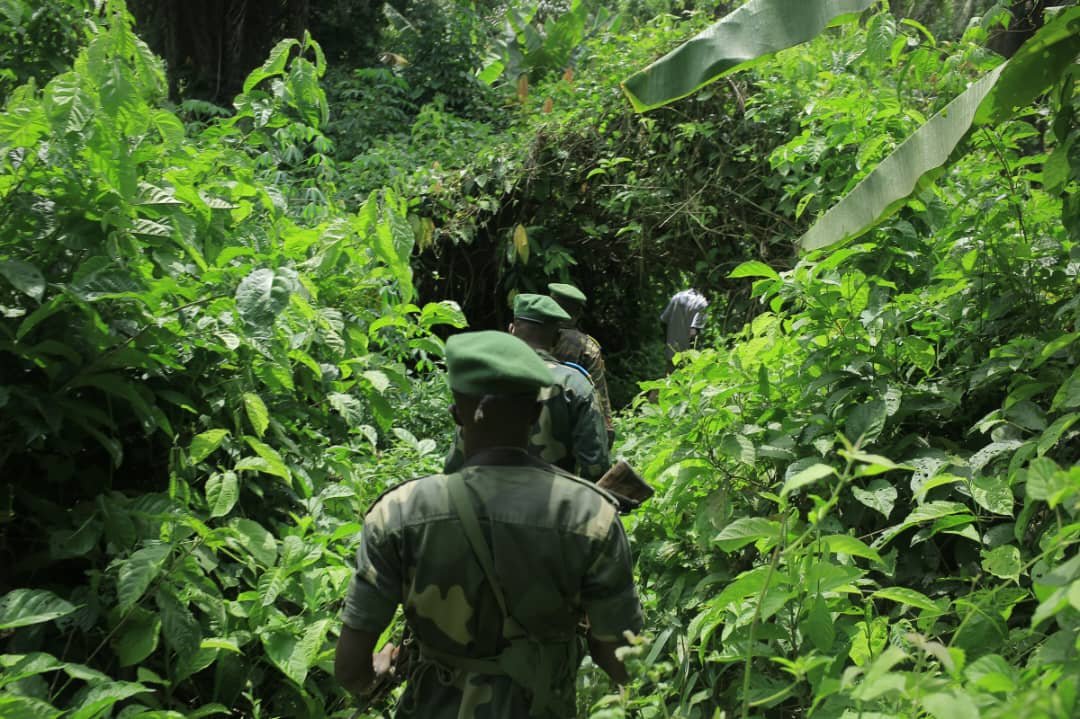 Kidnappés par les ADF/ MTM  trois congolais retrouvent la liberté  grâce aux FARDC au Nord Kivu Kidnappés par les ADF/ MTM  trois congolais retrouvent la liberté  grâce aux FARDC au Nord Kivu