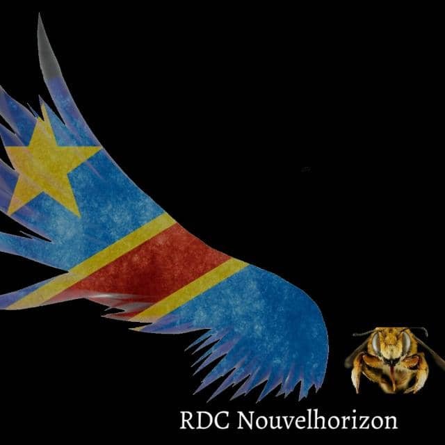 Non aux élections, oui au dialogue entre Kabila et Tshisekedi dixit Nouvel Horizon Tolingi Congo Non aux élections, oui au dialogue entre Kabila et Tshisekedi dixit Nouvel Horizon Tolingi Congo