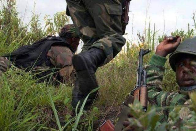Un rassemblement des terroristes bombardé à Ituri Un rassemblement des terroristes bombardé à Ituri