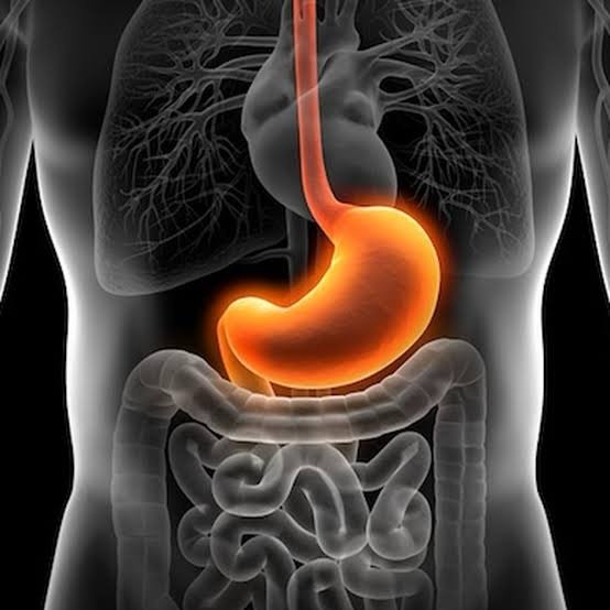 Rubrique Santé : Comprendre et Prévenir les Troubles de l’Estomac Rubrique Santé : Comprendre et Prévenir les Troubles de l’Estomac