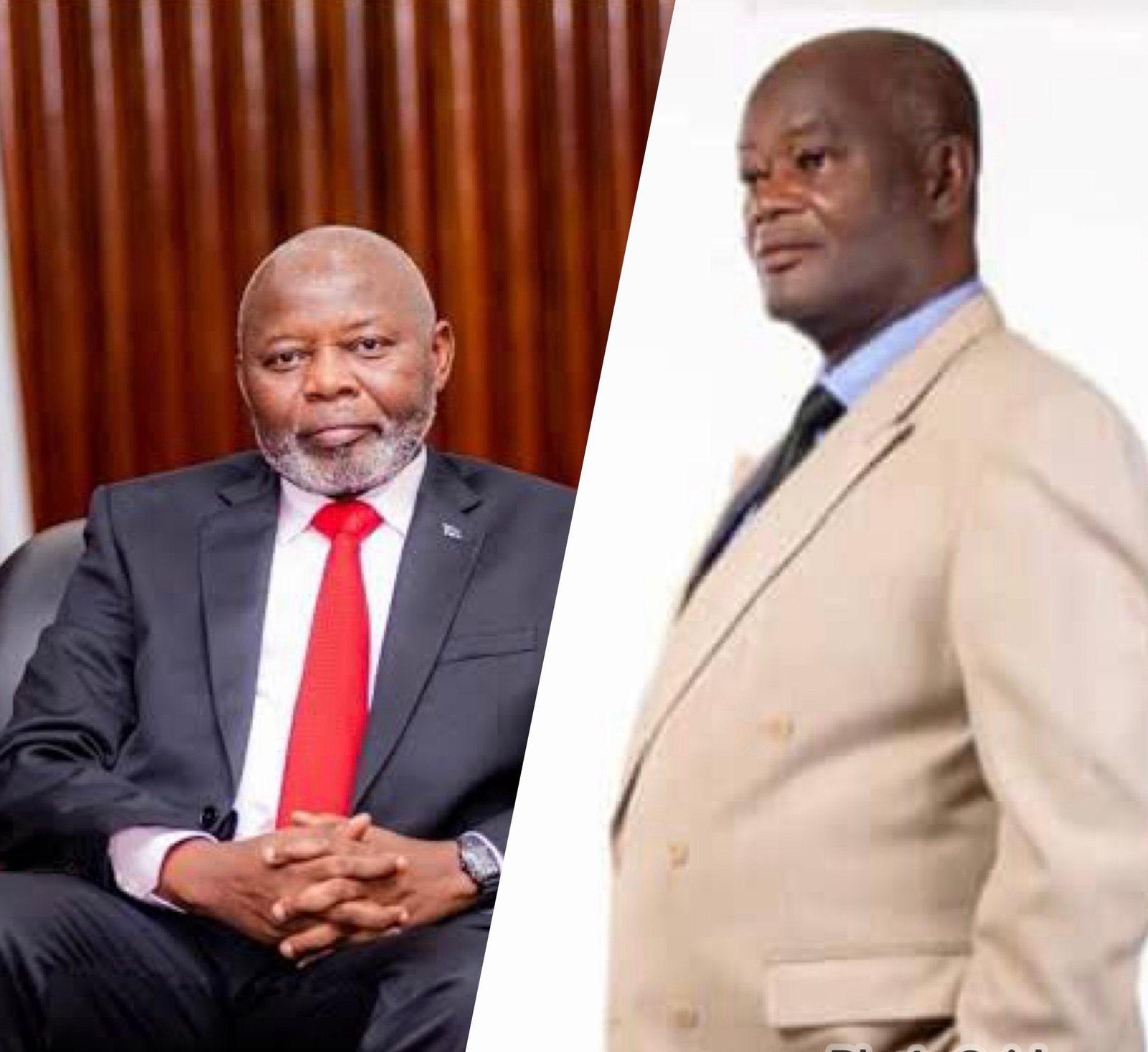 Vital KAMERHE,  LE COCORICO de la République.  