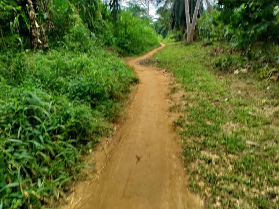 NORD–KIVU : LES ACTIVITÉS SOCIOÉCONOMIQUES PERTURBEES SUITE AUX AFFRONTEMENTS ENTRE LA COALITION FARDC – UPDF ET LES MAI MAI À LUBERO  NORD–KIVU : LES ACTIVITÉS SOCIOÉCONOMIQUES PERTURBEES SUITE AUX AFFRONTEMENTS ENTRE LA COALITION FARDC – UPDF ET LES MAI MAI À LUBERO