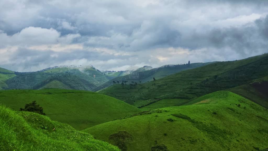 RDC : Un calme précaire dans les environs du territoire de Walikale après d’intenses combats entre les Wazalendo et le M23/AFC au Nord-Kivu RDC : Un calme précaire dans les environs du territoire de Walikale après d’intenses combats entre les Wazalendo et le M23/AFC au Nord-Kivu