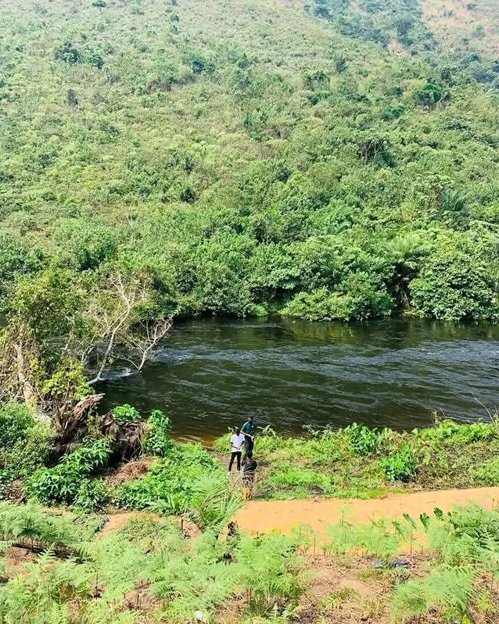 RDC : L’OBSEVATOIRE AFRICAIN DES RESSOURCES NATURELLES ALERTE SUR LES CONDITIONS IRRÉGULIÈRES DE RÉATTRIBUTION DE&nbsp; 48 CONCESSIONS FORESTIÈRES DE CONSERVATION