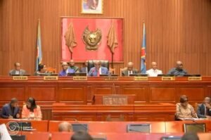 RDC/ KINSHASA : LA LOI SUR L&rsquo;ORGANISATION DU RÉFÉRENDUM ADOPTÉE AU SÉNAT EN SECONDE LECTURE